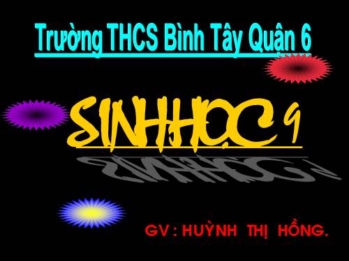 Bài 11. Phát sinh giao tử và thụ tinh