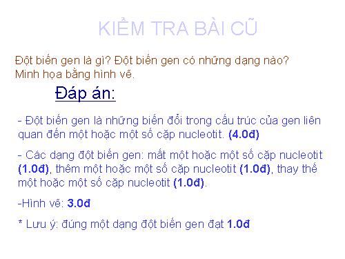 Bài 22. Đột biến cấu trúc nhiễm sắc thể