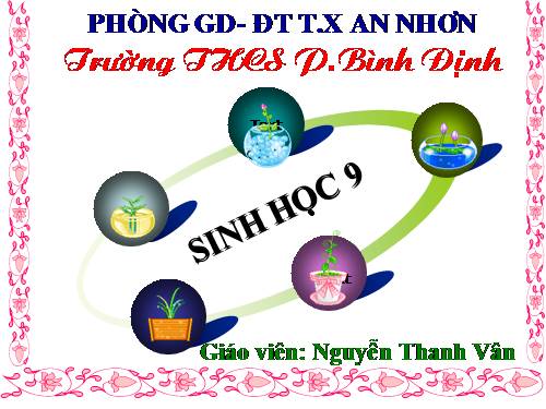 Bài 7. Bài tập chương I
