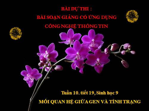 Bài 19. Mối quan hệ giữa gen và tính trạng