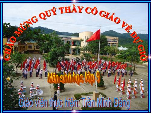Bài 10. Giảm phân