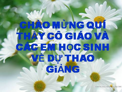 Bài 19. Mối quan hệ giữa gen và tính trạng