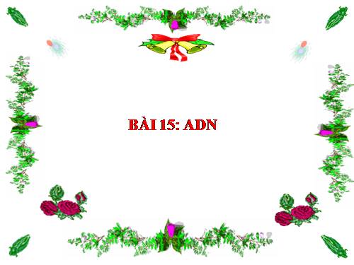 Bài 15. ADN