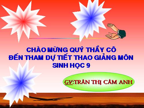 Bài 50. Hệ sinh thái