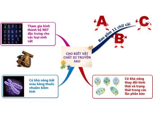 câu hỏi sơ đồ tư duy sinh 9