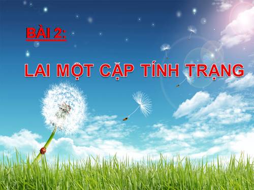 Bài 2. Lai một cặp tính trạng