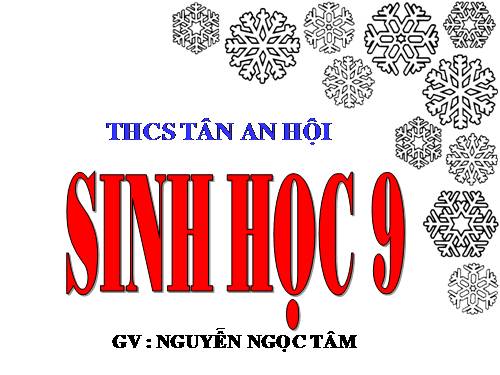 Bài 19. Mối quan hệ giữa gen và tính trạng