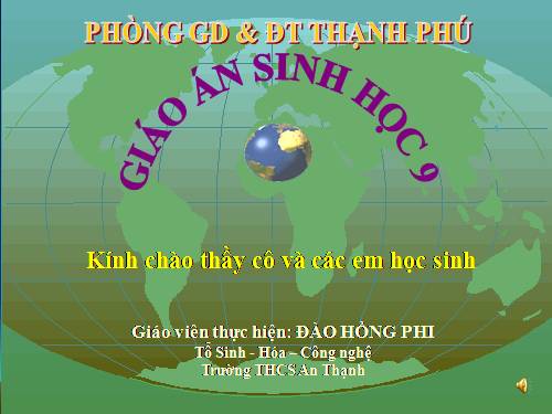 Bài 41. Môi trường và các nhân tố sinh thái
