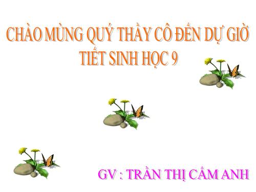 Bài 44. Ảnh hưởng lẫn nhau giữa các sinh vật