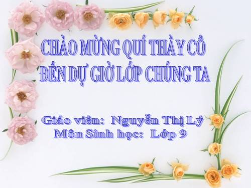 Bài 22. Đột biến cấu trúc nhiễm sắc thể