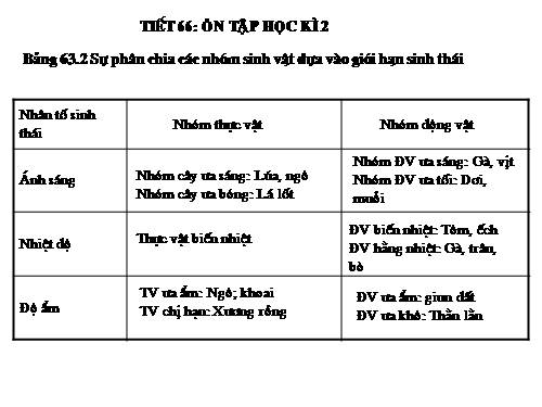 TIET 66 ON TAP HOC KI 2