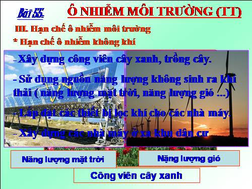 Bài 55. Ô nhiễm môi trường (tiếp theo)