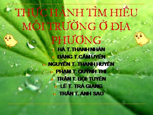 Bài 56. Thực hành: Tìm hiểu tình hình môi trường ở địa phương