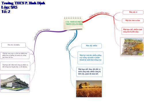 CÁC TK PHÁT TRIỂN CỦA XH
