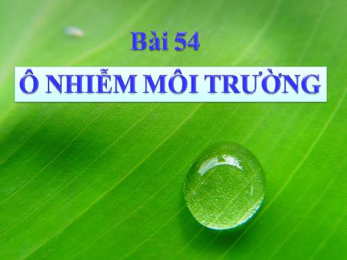 Bài 54. Ô nhiễm môi trường