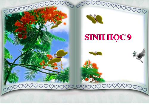 Bài 50. Hệ sinh thái