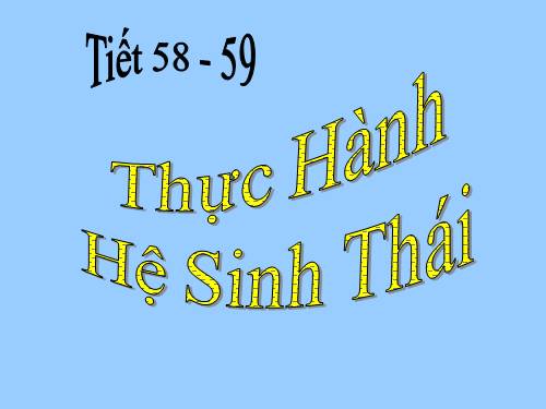 Bài 51. Thực hành: Hệ sinh thái