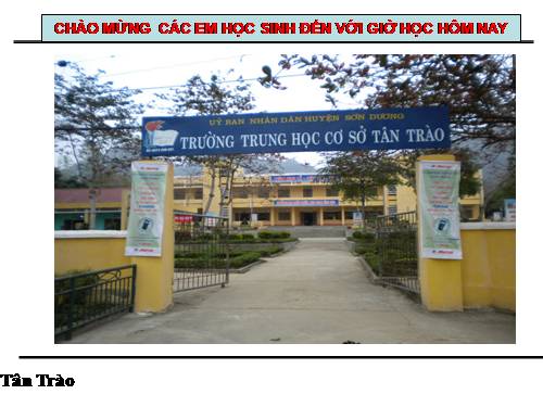 Bài 54. Ô nhiễm môi trường