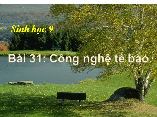 Bài 31. Công nghệ tế bào