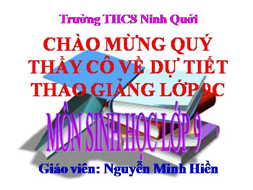 Bài 55. Ô nhiễm môi trường (tiếp theo)