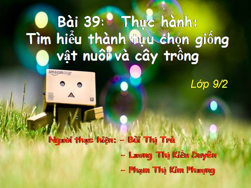 Bài 39. Thực hành: Tìm hiểu thành tựu chọn giống vật nuôi và cây trồng