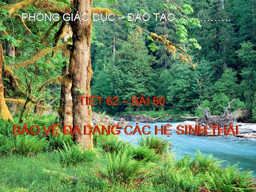 Bài 60. Bảo vệ đa dạng các hệ sinh thái