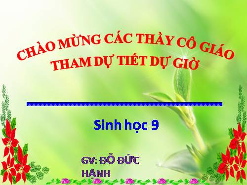 Bài 59. Khôi phục môi trường và gìn giữ thiên nhiên hoang dã