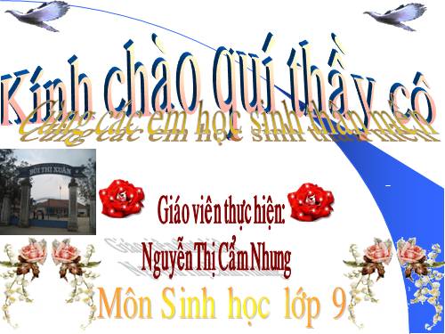 Bài 53. Tác động của con người đối với môi trường