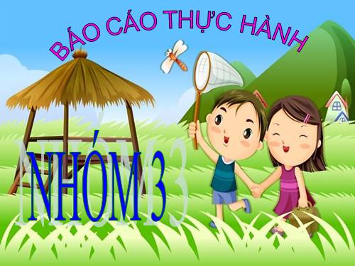 Bài 56. Thực hành: Tìm hiểu tình hình môi trường ở địa phương