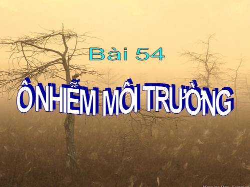 Bài 54. Ô nhiễm môi trường