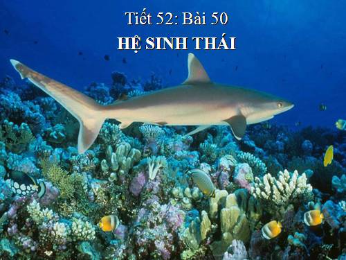 Bài 50. Hệ sinh thái