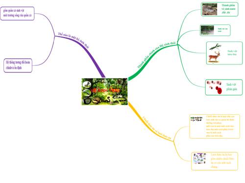 bản đồ tư duy bài Hệ sinh thái