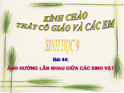 Bài 44. Ảnh hưởng lẫn nhau giữa các sinh vật