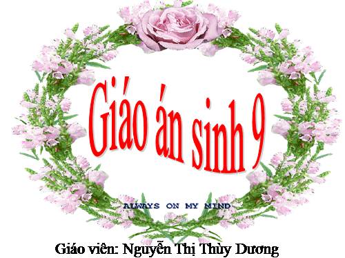 Bài 49. Quần xã sinh vật