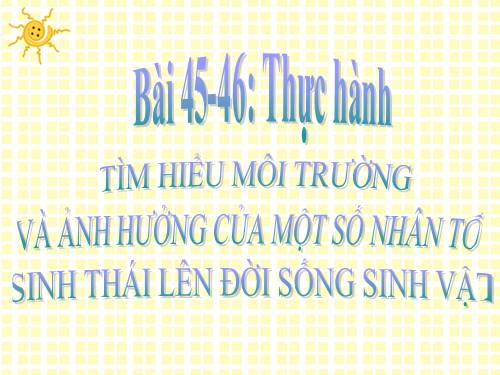 Bài 45. Thực hành: Tìm hiểu môi trường và ảnh hưởng của một số nhân tố sinh thái lên đời sống sinh vật