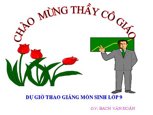 Bài 50. Hệ sinh thái