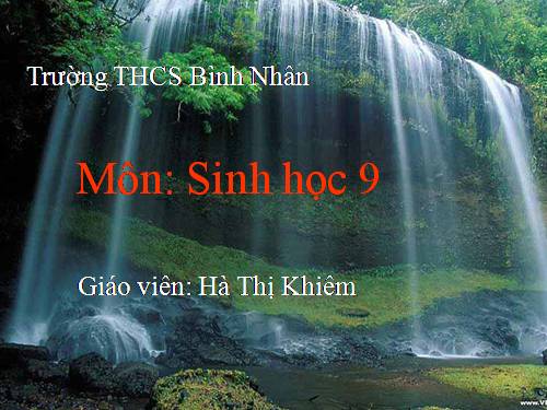 Bài 50. Hệ sinh thái