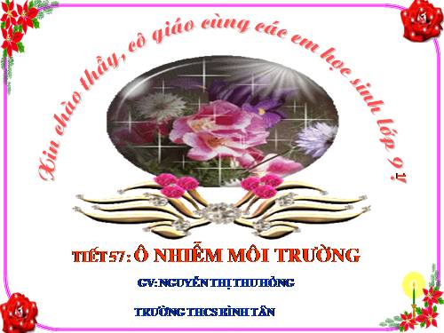 Bài 55. Ô nhiễm môi trường (tiếp theo)