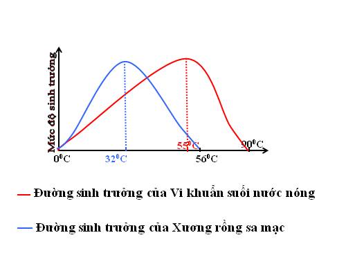 bài 42 ảnh hưởng ánh sáng lên ĐSSV