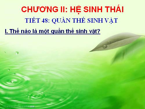 Bài 47. Quần thể sinh vật