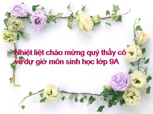 Bài 13. Di truyền liên kết