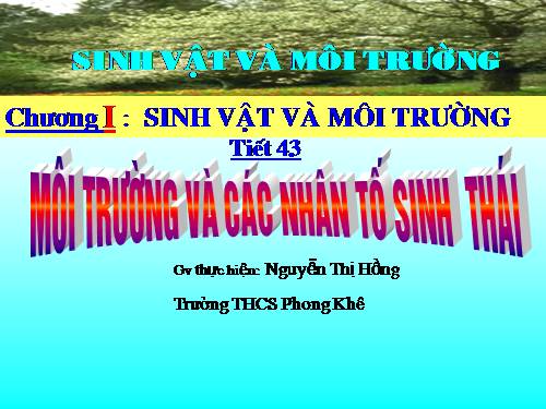 Bài 41. Môi trường và các nhân tố sinh thái