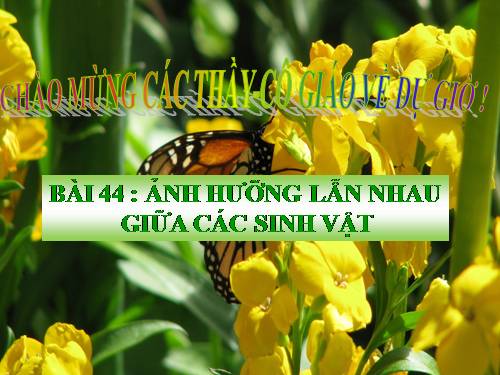 Bài 44. Ảnh hưởng lẫn nhau giữa các sinh vật