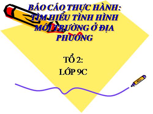 Bài 56. Thực hành: Tìm hiểu tình hình môi trường ở địa phương