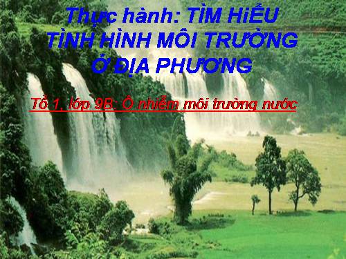 Bài 56. Thực hành: Tìm hiểu tình hình môi trường ở địa phương