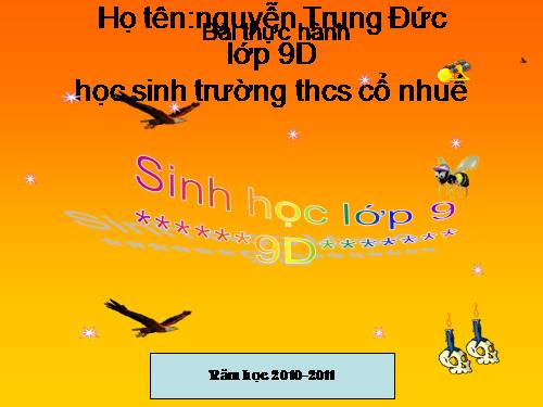 Bài 26. Thực hành: Nhận biết một vài dạng đột biến