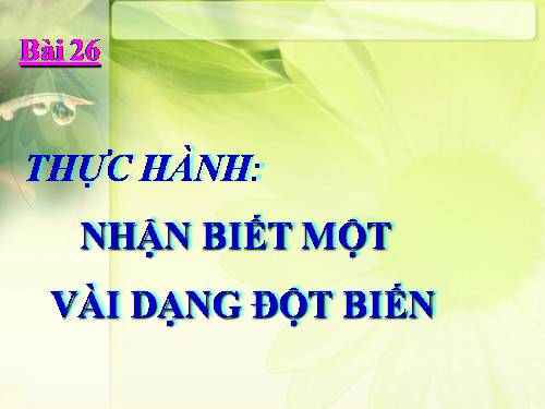 Bài 26. Thực hành: Nhận biết một vài dạng đột biến