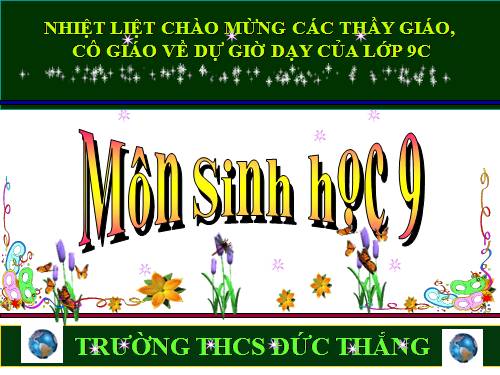 Bài 34. Thoái hoá do tự thụ phấn và do giao phối gần