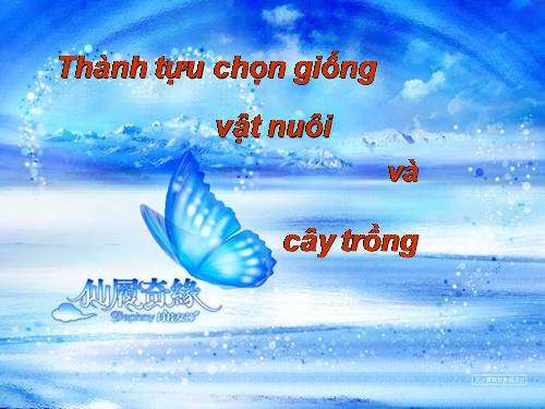 Bài 39. Thực hành: Tìm hiểu thành tựu chọn giống vật nuôi và cây trồng