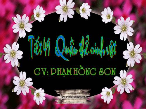 Bài 47. Quần thể sinh vật